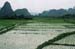 guilin_ricefield